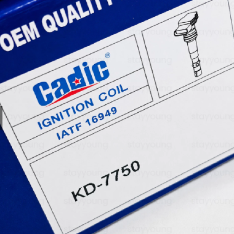 Original Cadic Proton X50 X70 X90 1.5T Geely Binyue Lynk & Co Ignition Plug Coil