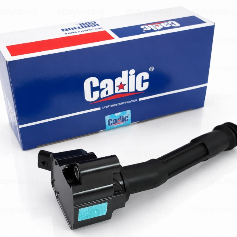 Original Cadic Proton X50 X70 X90 1.5T Geely Binyue Lynk & Co Ignition Plug Coil